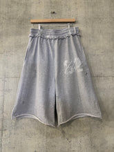 Load image into Gallery viewer, Varsity shorts

