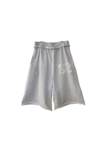 Load image into Gallery viewer, Varsity shorts
